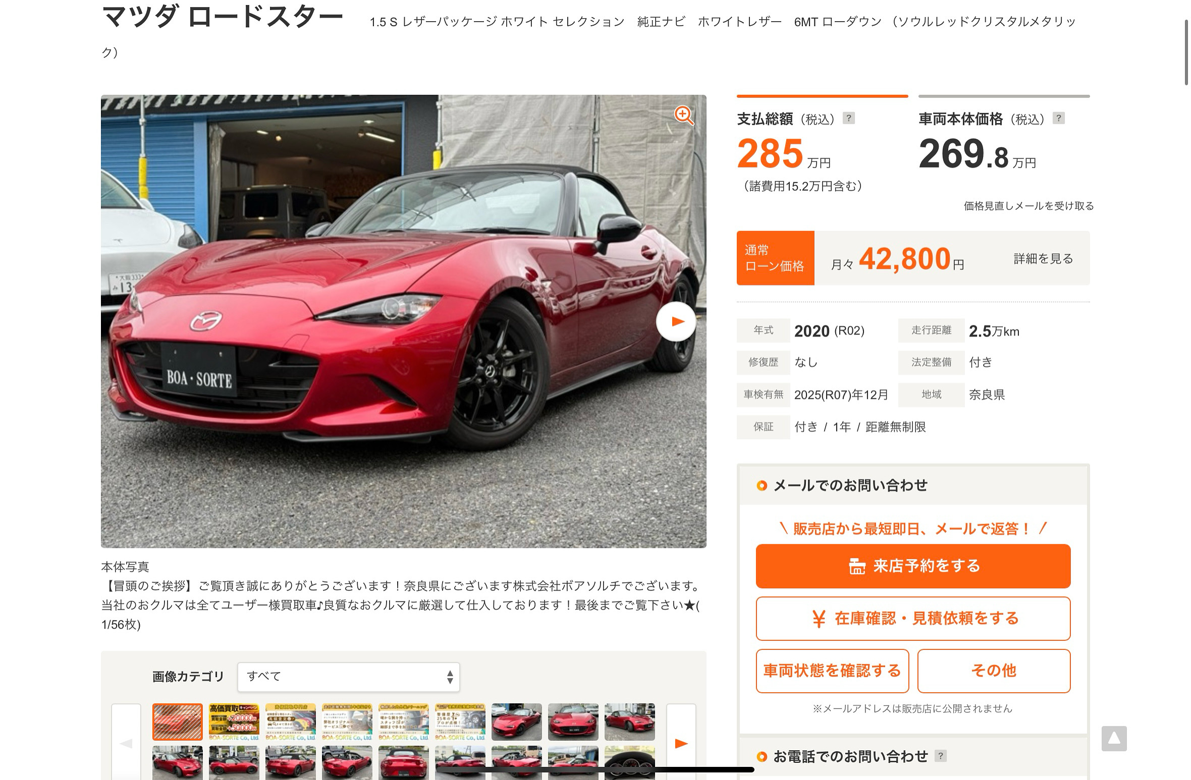 注目ラインナップ