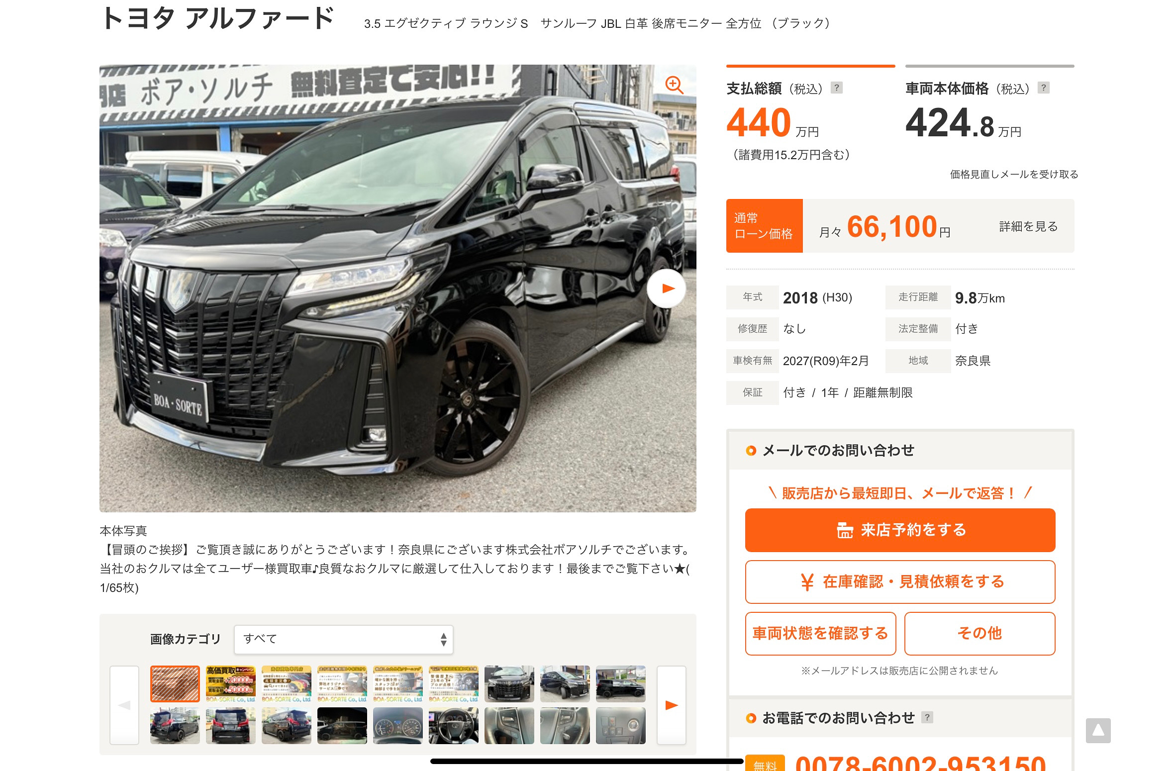 注目ラインナップ