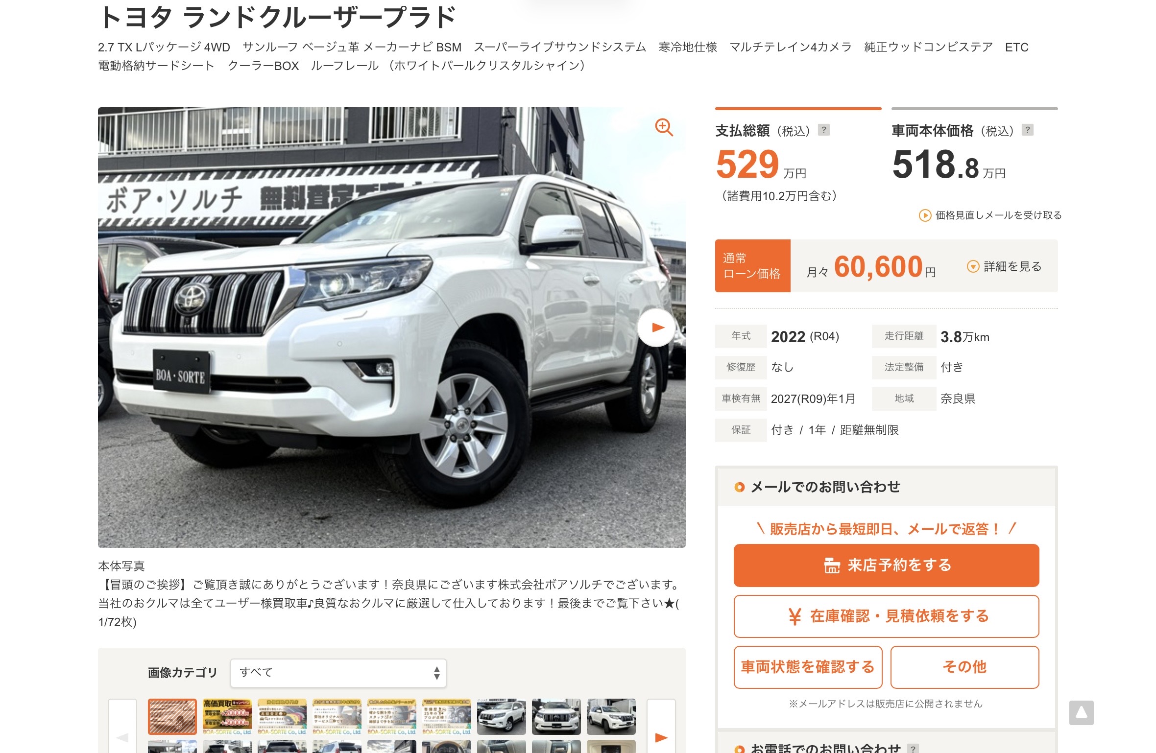 注目ラインナップ