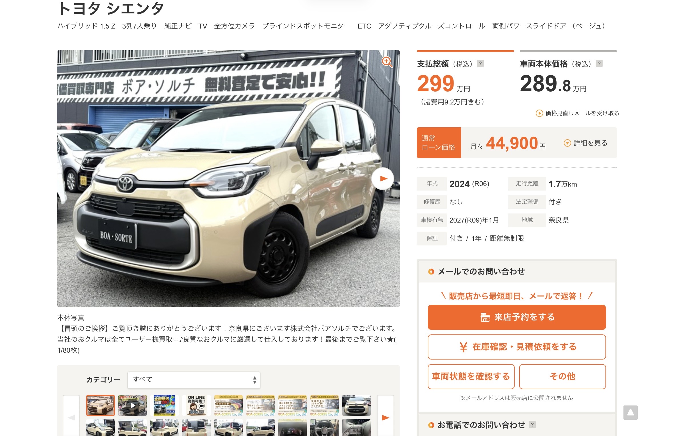 注目ラインナップ